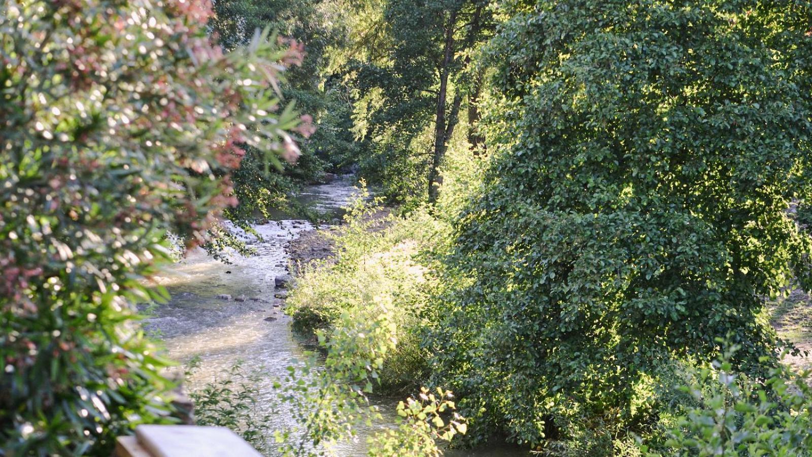 Gites De La Soulondre Lodève Kültér fotó
